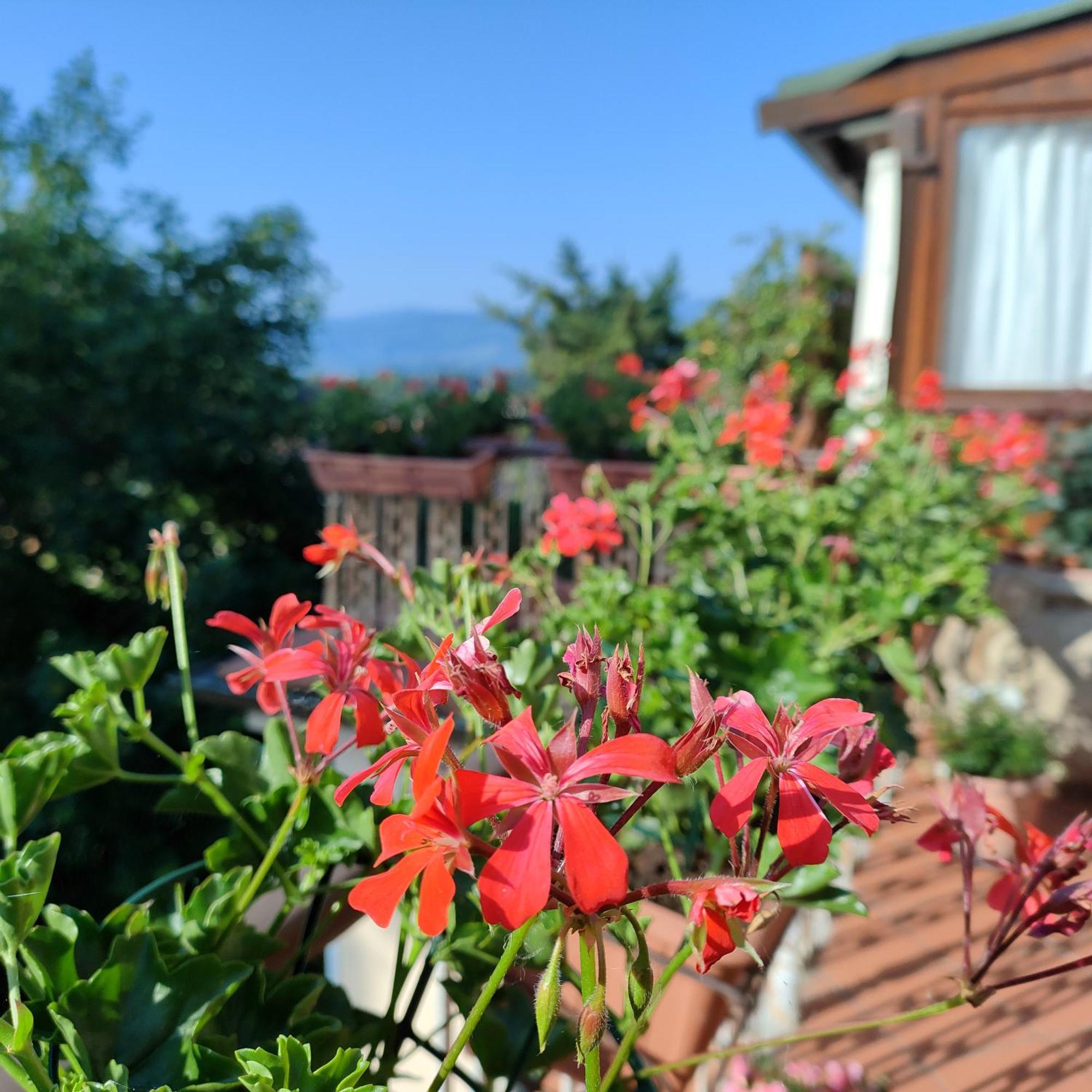 Casa Vacanza In Casentino Bibbiena Esterno foto